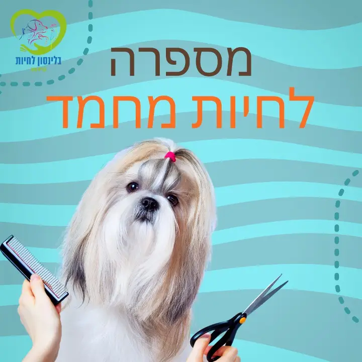 מספרה לחיות מחמד קריית אונו