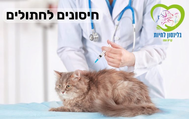 חיסונים לחתולים