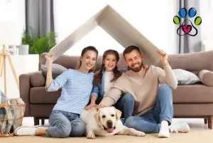יצירת קשר איתן ובניית אמון